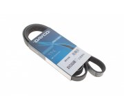 Ремінь генератора (1540мм) Ford Focus 3 / Форд Фокус 3 1.5 (бензин) 2011-2018 6PK1538 DAYCO (Італія)