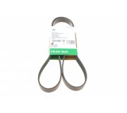 Ремінь генератора (1540мм) Ford Focus 3 / Форд Фокус 3 1.5 (бензин) 2011-2018 FB6PK1540 INA (Німеччина)