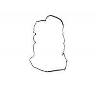 Прокладка крышки клапанов Ford Focus 3 / Форд Фокус 3 1.6 (бензин) 2011-2018 1704081 FORD (США)