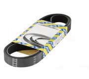 Ремінь генератора (1540мм) Ford Focus 3 / Форд Фокус 3 1.5 (бензин) 2011-2018 CA6PK1538 SNR (Франція)