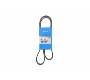 Ремінь генератора (1300мм) Ford Focus 3 / Форд Фокус 3 2.0 (бензин) 2011-2018 VKMV4PK1300 SKF (Франція)