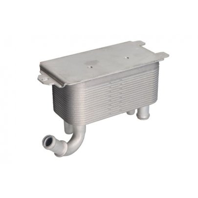 Радиатор масляный / теплообменник (63x69x137мм) Ford Focus 3 / Форд Фокус 3 1.0 (бензин) 2011-2018 FT00661 Fast (Италия)