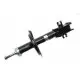 Амортизаторы Fiat Scudo / Citroen Jumpy / Peugeot Expert 1995-2006 Амортизаторы Fiat Scudo / Citroen Jumpy / Peugeot Expert 1995-2006