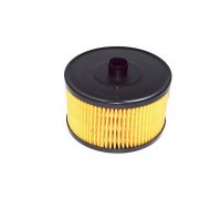 Фільтр паливний Peugeot Expert II 2.0HDi 88kW / 100kW 2007- FT39076 Fast (Італія)