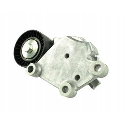 Натяжитель ремня генератора ГРМ Ford C‑MAX 2 / Форд С Макс 2 1.5 / 1.6TDI 2010–2019 FT44619 Fast (Италия)