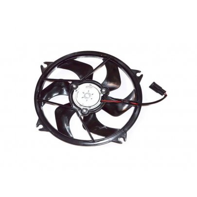 Вентилятор Citroen C4 Picasso / Ситроен C4 Пикассо 2006-2013 FT56170 Fast (Италия)