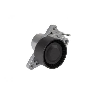 Натяжитель ремня генератора Renault Scenic 3 / Рено Сценик 3 1.6dCi 2009-2016 J1141075 HERTH+BUSS (Германия)