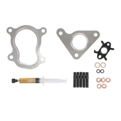 Монтажный комплект прокладок турбины Renault Kangoo 1.9dCi 2001-2008 JTC11030 AJUSA (Испания)