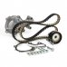 Комплект ГРМ (с помпой) Ford C‑MAX 2 / Форд С Макс 2 1.0 (бензин) 2010–2019 KBIOWP030 DAYCO (Италия) - Фото №2