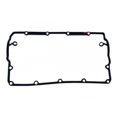 Прокладка кришки клапанів Volkswagen Passat B6 / Фольксваген Пассат Б6 2.0TDI 2005-2010 1556055 Elwis Royal (Данія)