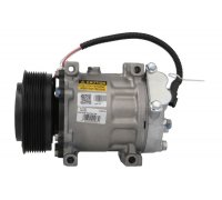 Компрессор кондиционера Renault Scenic II / Рено Сценик 2 2.0 (бензин) 2003-2009 10-1083 Airstal (Польша)