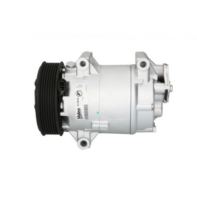 Компрессор кондиционера Renault Scenic II / Рено Сценик 2 2.0 (бензин) 2003-2009 813825 VALEO (Франция)