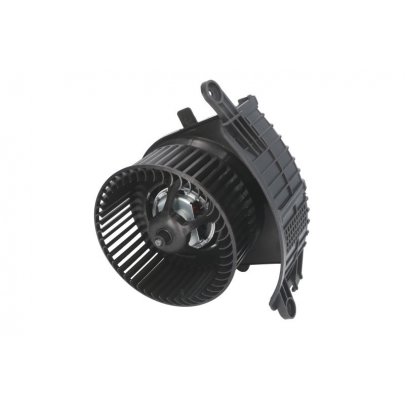 Моторчик пічки Renault Scenic II / Рено Сценік 2 2003-2009 DDR010TT THERMOTEC (Польща)