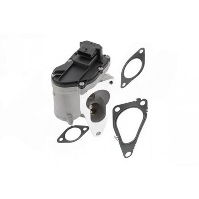 Клапан EGR рециркуляции отработанных газов Renault Scenic II / Рено Сценик 2 1.9dCi 2003-2009 EGR12-196 FRECCIA (Италия)