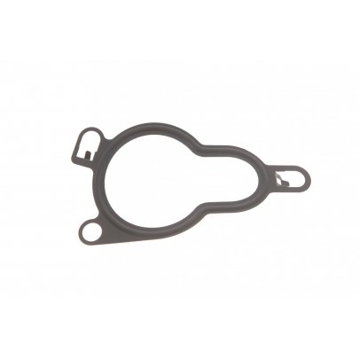 Прокладка клапана EGR Renault Scenic II / Рено Сценик 2 2.0dCi 2003-2009 7701062171 RENAULT (Франция)
