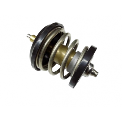 Термостат (95 °C, без корпуса) Volkswagen Passat B6 / Фольксваген Пассат Б6 1.8TSI / 2.0TFSI 2005-2010 CTM-VW-104 NTY (Польша)