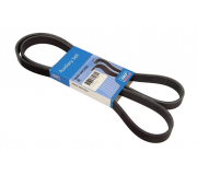 Ремінь генератора (1555мм) Ford Focus 3 / Форд Фокус 3 1.6 (бензин) 2011-2018 VKMV6PK1555 SKF (Франція)