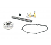 Комплект ланцюга ГРМ Volkswagen Passat B6 / Фольксваген Пассат Б6 2.0FSI 2005-2010 SKCA005V DOLZ (Іспанія)