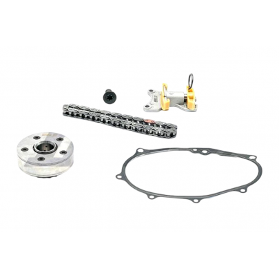 Комплект цепи ГРМ Volkswagen Passat B6 / Фольксваген Пассат Б6 2.0FSI 2005-2010 SKCA005V DOLZ (Испания)