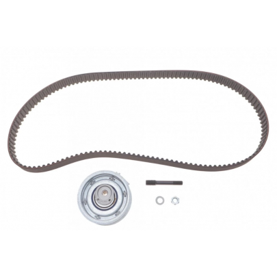 Комплект ГРМ (двигун: BSE, BSF) Volkswagen Passat B6 / Фольксваген Пассат Б6 1.6FSI 2005-2010 SKD050 DOLZ (Іспанія)