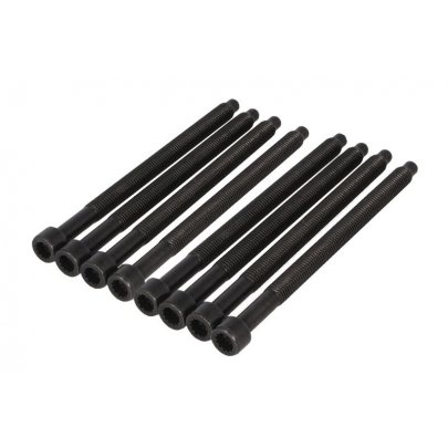 Болти головки двигуна (комплект, 8шт) Volkswagen Passat B6 / Фольксваген Пассат Б6 2.0TDI 2005-2010 14-32121-02 VICTOR REINZ (Німеччина)