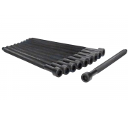 Болти головки двигуна (комплект, 10шт) Volkswagen Passat B6 / Фольксваген Пассат Б6 2.0TDI 2005-2010 81026000 AJUSA (Іспанія)