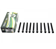 Болти головки двигуна (комплект, 10шт) Volkswagen Passat B6 / Фольксваген Пассат Б6 2.0TDI 2005-2010 BK4365 BGA (Велика Британія)