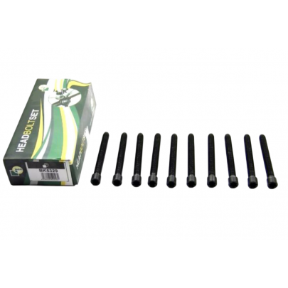 Болти головки двигуна (комплект, 10шт) Volkswagen Passat B6 / Фольксваген Пассат Б6 2.0TDI 2005-2010 BK4365 BGA (Велика Британія)