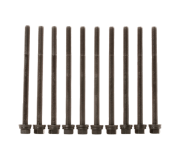 Болти головки двигуна (комплект, 10шт) Volkswagen Passat B6 / Фольксваген Пассат Б6 2.0TDI 2005-2010 B1662 FAI AUTOPARTS (Велика Британія)