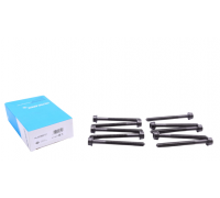 Болти головки двигуна (комплект, 10шт) Volkswagen Passat B6 / Фольксваген Пассат Б6 2.0TFSI 2005-2010 14-32383-01 VICTOR REINZ (Німеччина)