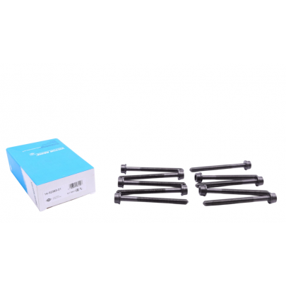 Болти головки двигуна (комплект, 10шт) Volkswagen Passat B6 / Фольксваген Пассат Б6 2.0TFSI 2005-2010 14-32383-01 VICTOR REINZ (Німеччина)