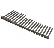 Болты головки двигателя (комплект, 20шт) Volkswagen Passat B6 / Фольксваген Пассат Б6 3.2FSI 2005-2010 81044000 AJUSA (Испания)