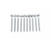 Болти головки двигуна (комплект, 10шт) Volkswagen Passat B6 / Фольксваген Пассат Б6 1.8TSI 2005-2010 B1661 FAI AUTOPARTS (Велика Британія)