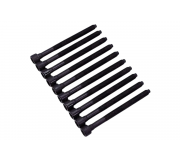 Болти головки двигуна (комплект, 10шт) Volkswagen Passat B6 / Фольксваген Пассат Б6 1.8TSI 2005-2010 BK3346 BGA  (Велика Британія)