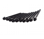 Болти головки двигуна (двигун: BSE, BSF, комплект, 10шт) Volkswagen Passat B6 / Фольксваген Пассат Б6 1.6FSI 2005-2010 109547 TOPRAN (Німеччина)