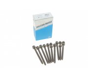 Болти головки двигуна (двигун: BSE, BSF, комплект, 10шт) Volkswagen Passat B6 / Фольксваген Пассат Б6 1.6FSI 2005-2010 14-32126-01 VICTOR REINZ (Німеччина)