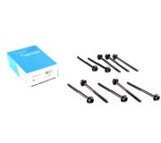 Болти головки двигуна (комплект, 10шт) Volkswagen Passat B6 / Фольксваген Пассат Б6 1.4TSI 2005-2010 14-32277-01 VICTOR REINZ (Німеччина)