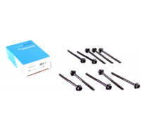 Болты головки двигателя (комплект, 10шт) Volkswagen Passat B6 / Фольксваген Пассат Б6 1.4TSI 2005-2010 14-32277-01 VICTOR REINZ (Германия)