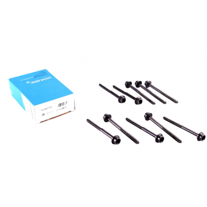 Болты головки двигателя (комплект, 10шт) Volkswagen Passat B6 / Фольксваген Пассат Б6 1.4TSI 2005-2010 14-32277-01 VICTOR REINZ (Германия)