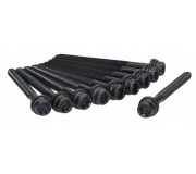 Болти головки двигуна (двигун: BSE, BSF, комплект, 10шт) Volkswagen Passat B6 / Фольксваген Пассат Б6 1.6FSI 2005-2010 81019300 AJUSA (Іспанія)