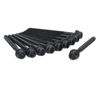 Болти головки двигуна (двигун: BSE, BSF, комплект, 10шт) Volkswagen Passat B6 / Фольксваген Пассат Б6 1.6FSI 2005-2010 81019300 AJUSA (Іспанія)