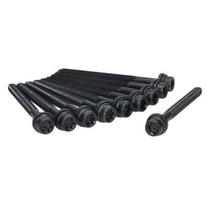 Болти головки двигуна (двигун: BSE, BSF, комплект, 10шт) Volkswagen Passat B6 / Фольксваген Пассат Б6 1.6FSI 2005-2010 81019300 AJUSA (Іспанія)