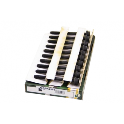 Болти головки двигуна (комплект, 10шт) Volkswagen Passat B6 / Фольксваген Пассат Б6 1.4TSI 2005-2010 BK2394 BGA (Велика Британія)