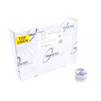 Гидрокомпенсатор / толкатель клапана (высота 26мм) Volkswagen Passat B6 / Фольксваген Пассат Б6 1.9TDI 2005-2010 07.12.103 TRUCKTEC (Германия)