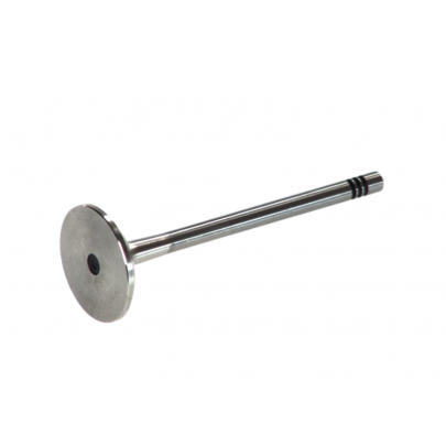 Клапан випускний (двигун: BSE, BSF) Volkswagen Passat B6 / Фольксваген Пассат Б6 1.6FSI 2005-2010 6156/BM FRECCIA (Італія)