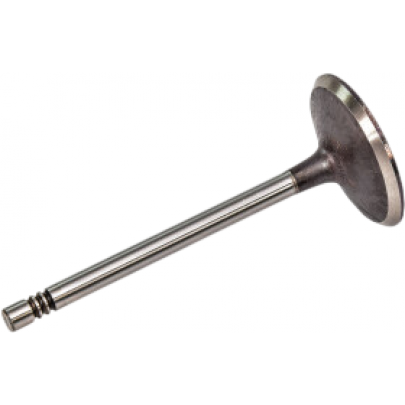 Клапан впускний (двигун: BSE, BSF) Volkswagen Passat B6 / Фольксваген Пассат Б6 1.6FSI 2005-2010 V94424 AE (США)