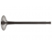 Клапан впускной Volkswagen Passat B6 / Фольксваген Пассат Б6 2.0TFSI 2005-2010 36497 FEBI (Германия)