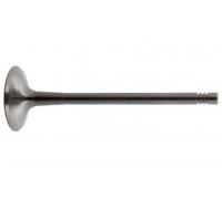 Клапан впускной Volkswagen Passat B6 / Фольксваген Пассат Б6 2.0TFSI 2005-2010 36497 FEBI (Германия)