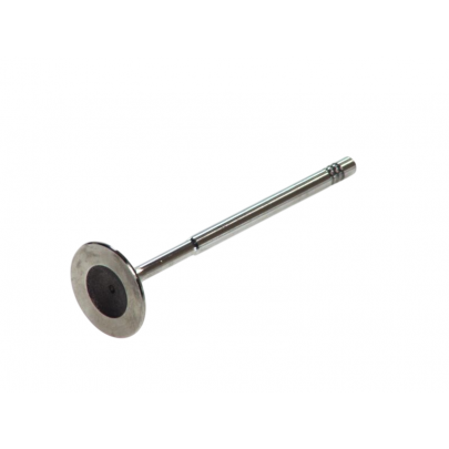 Клапан впускний (двигун: BLF) Volkswagen Passat B6 / Фольксваген Пассат Б6 1.6FSI 2005-2010 6205/S FRECCIA (Італія)