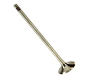 Клапан випускний Volkswagen Passat B6 / Фольксваген Пассат Б6 3.6FSI 2005-2010 331130 TRW (Німеччина)